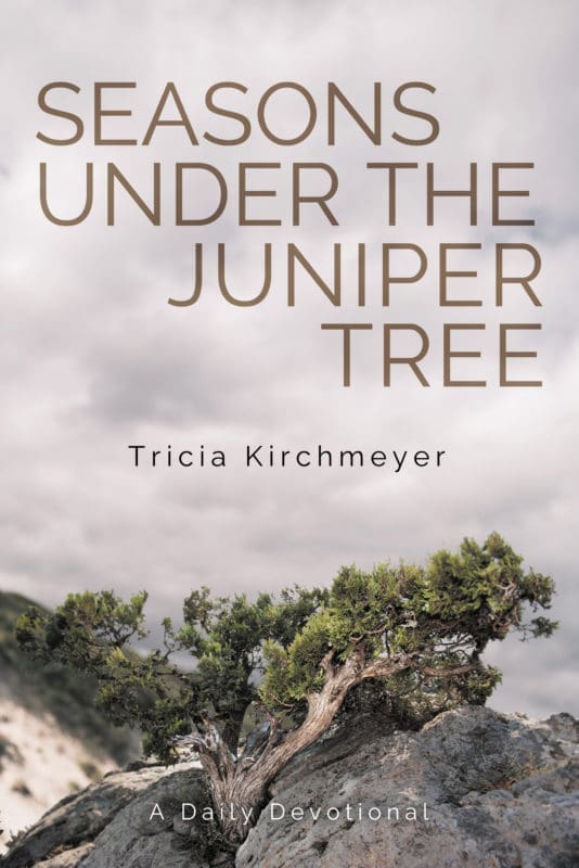 Seasons Under the Juniper Tree